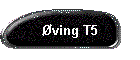 ving T5