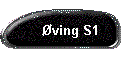 ving S1