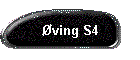 ving S4