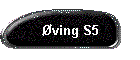ving S5