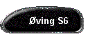 ving S6